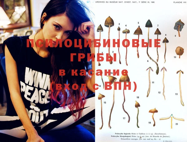 марихуана Заводоуковск
